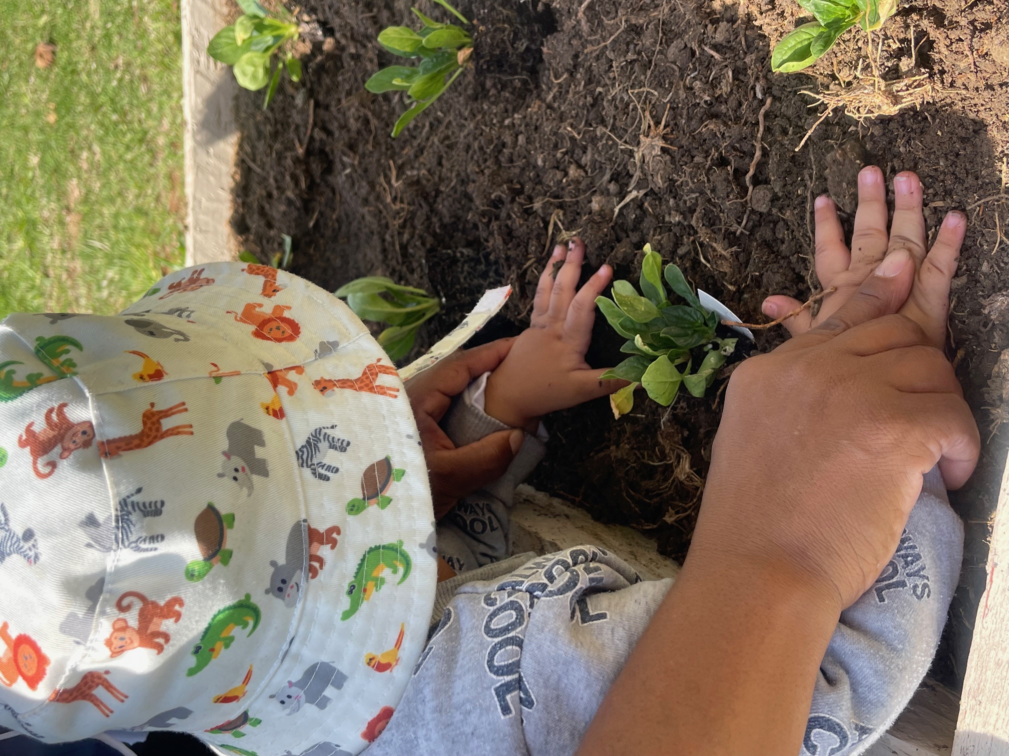 Group activities and social learning